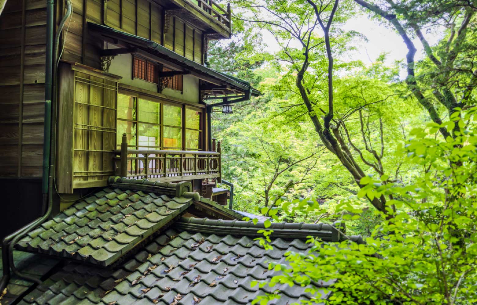 Kansuiro image