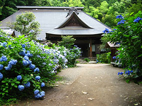 阿弥陀寺